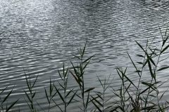 IMG_1170-scaled