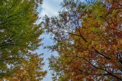 IMG_1276-scaled