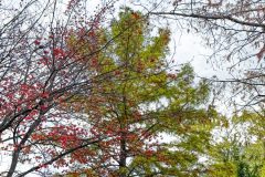 IMG_1277-scaled