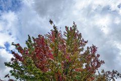 IMG_1278-scaled