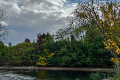 IMG_1282-scaled