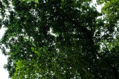 IMG_1635-scaled