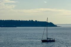 IMG_9559-scaled